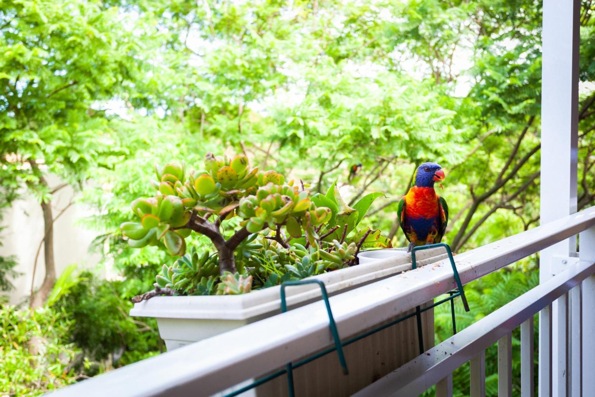 Treetop Retreat Five Minute Stroll To The Beach Sídney Exterior foto